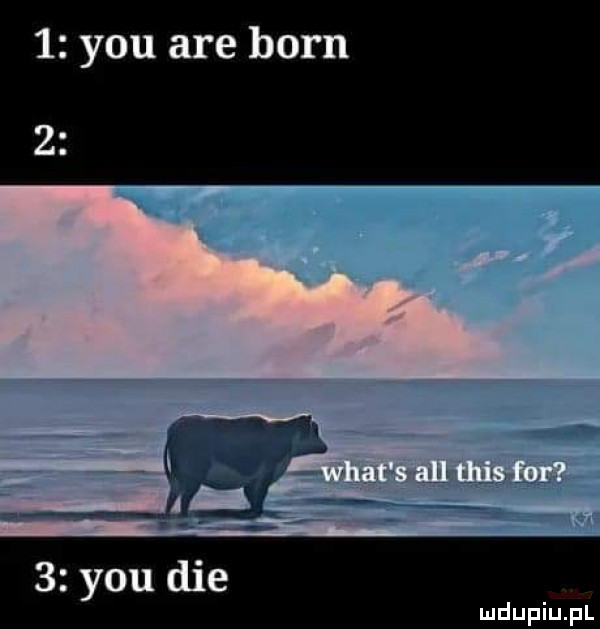 y-u are barn