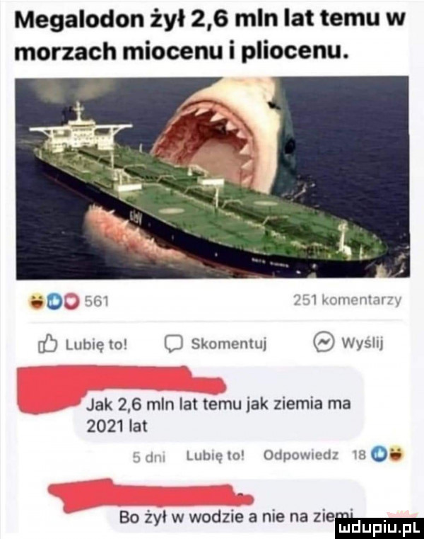 megalodon żył     mln lat temu w morzach miocenu i pliocenu. atv u   m n v. b lubię   o skomentuj wyru jak     mln lat temu idk ziemia ma      lat lal u lo odium hdd qi bo żal w wodzie a nie na naw