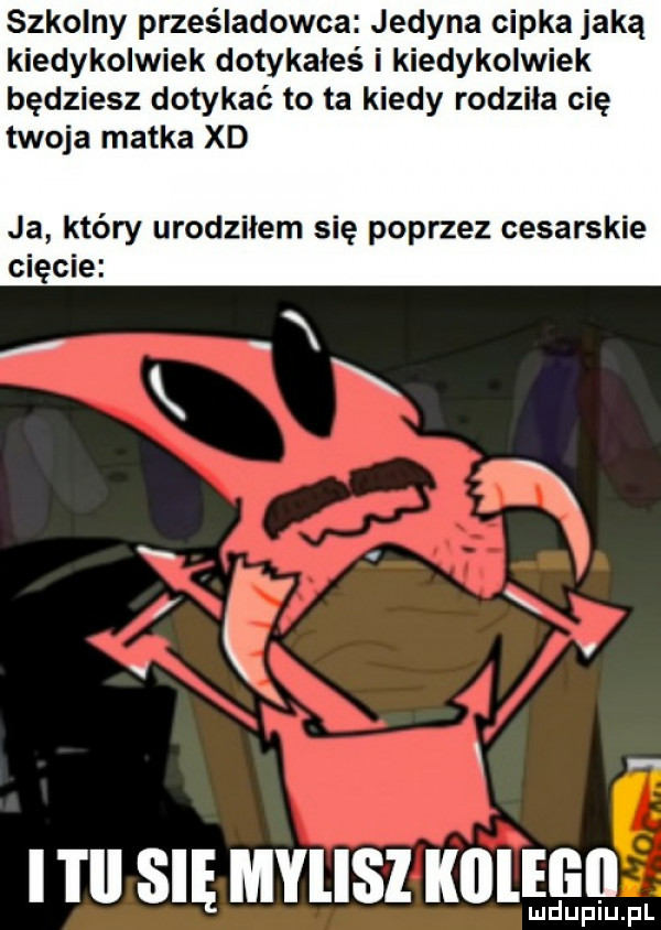 szkolny prześladowca jedyna cipka jaką kiedykolwiek dotykałeś i kiedykolwiek będziesz dotykać to ta kiedy rodziła cię twoja matka xd ja który urodziłem się poprzez cesarskie cięcie i tal się mylisl klilegii