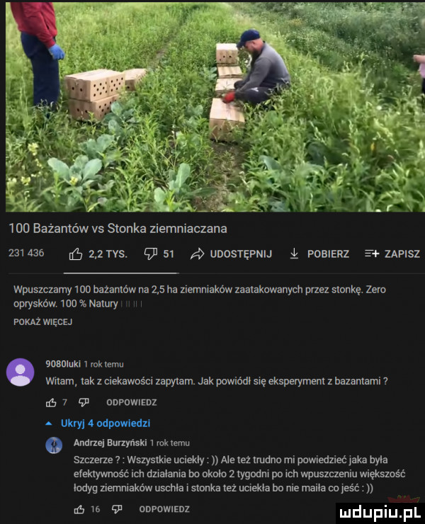 bażanto w vs słonka ziemniaczana ulnar amrita     ąunostępnij i pobierz s zapisz wpusnzamy wo bazanów na     ha ziemniaków zaatakowanych przez smug. zero opryskow. idu mamry ih rum więcej śmimki v rok temu wdam lak   ciekawości zapylam jak puwińrll się eksperyment z nazwami       a onpolenz udry   odpowlodxl o anna   burzymkl l rok emu szczme   wszystkie nciekiy alę ie nudna mi powiedzieć iska była ciekiywms ć ich dni łania bo nknlo imam po ich wpuszczeniu mw indyg ziemniakw um i mm też uciekła bu nie mila mjesm gis nnvomznz