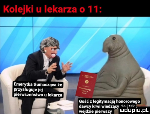 emerytki tłumacząca że ptasi tuleje ici gość legitymacją hun wega dawcy kaw maximal. wejdz