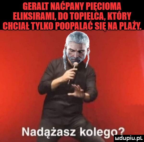 nadążasz kolego ludupiu. pl
