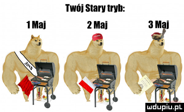 tvnii stan troll   mai x