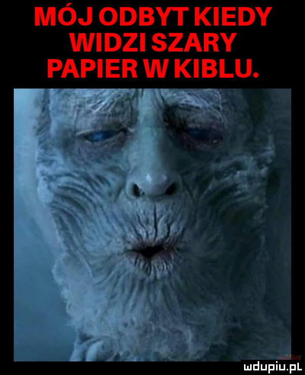 mój odbyt kiedy widzi szary papier w kiblu