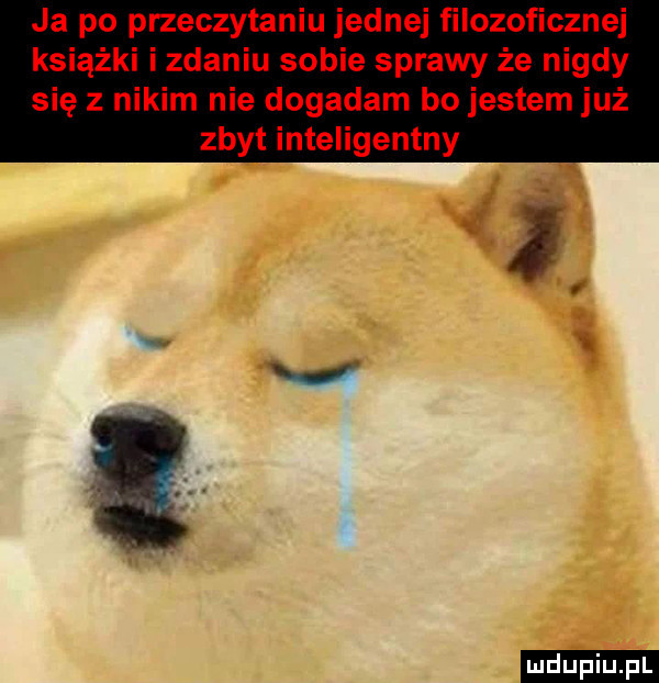 ja po przeczytaniu jednej filozoficznej książki izdaniu sobie sprawy że nigdy się z nikim nie dogadam bo jestem już zbyt inteligentny ludu iu. l
