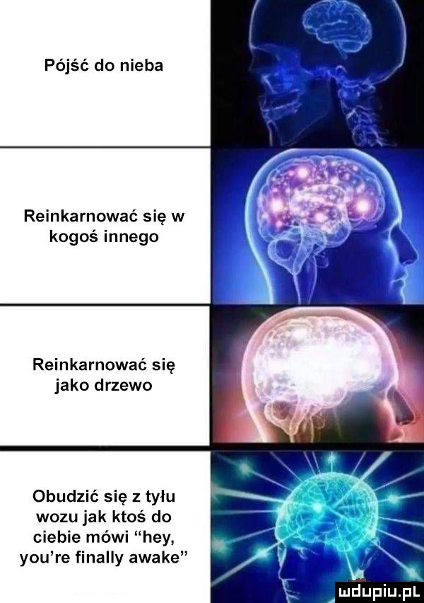 pójść do nieba reinkarnować się w kogoś innego reinkarnować się jako drzewo obudzić się z tyłu wozu jak ktoś do ciebie mówi hey y-u re finalny awale