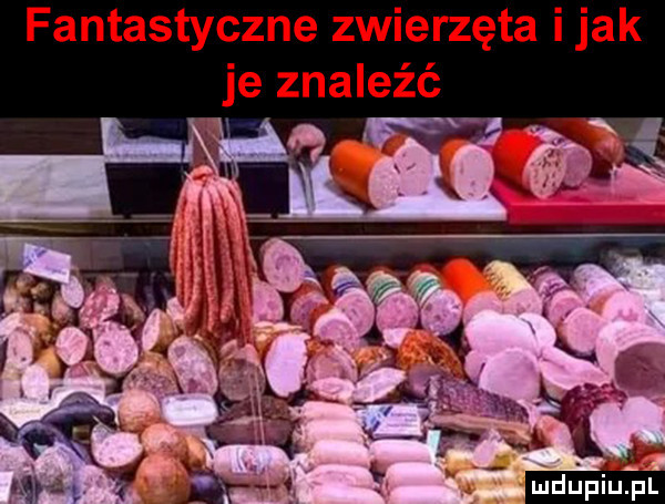 Obrazek