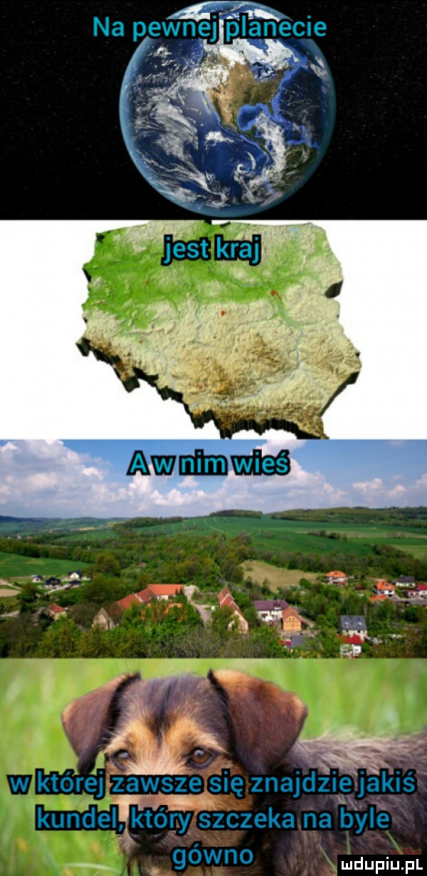 na pewnej iwecie. w której zawsżęsię znajdłię jakiś kundelﬁitbfy szczeka na b yle ą gówno