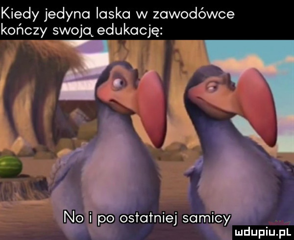 kiedy jedyna laska w zawodówce kończy swoją edukację