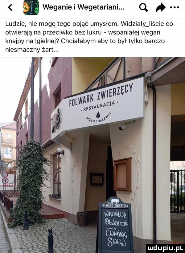 a weganieiwegetariani. q ludzie nie mogę tego pojąć umysłem. widziały liście co otwierają na przeciwko bez lukru wspaniałej wegan knajpy na igielne chciałabym abym był tylko bardzo niesmaczny żart