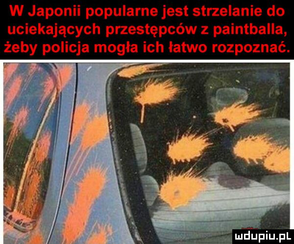 w japonii popularne jest strzelanie do uciekających przestępców z paintballa żeby policja mogła ich latwo rozpoznać. mi llupiupl