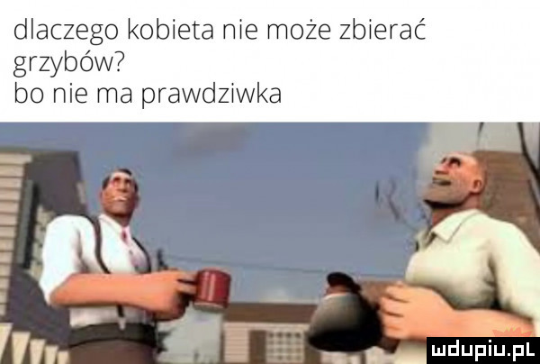 dlaczego kobieta me może zbierać grzybów bo nie ma prawdziwka nt v i u lipiu pl