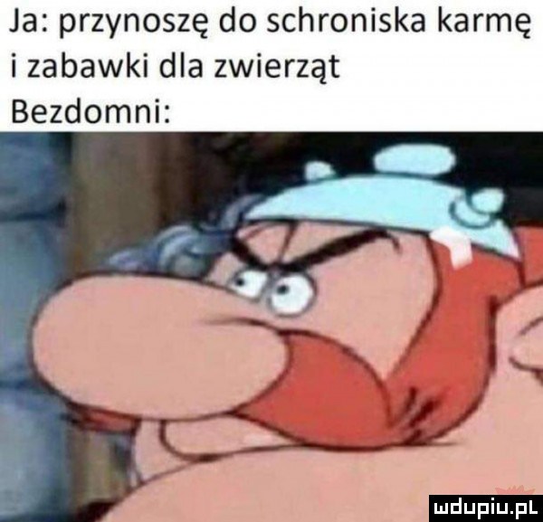 ja przynoszę do schroniska karmę i zabawki dla zwierząt bezdomni ludu iu. l
