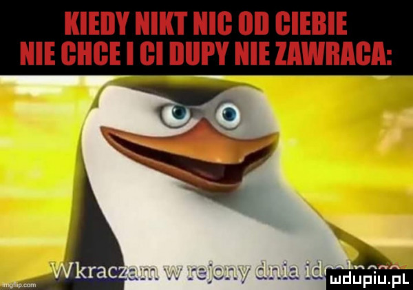 kiedy iiiiii iiib iii glebie icie gaige i i iiiipy icie iiiwiiiigii