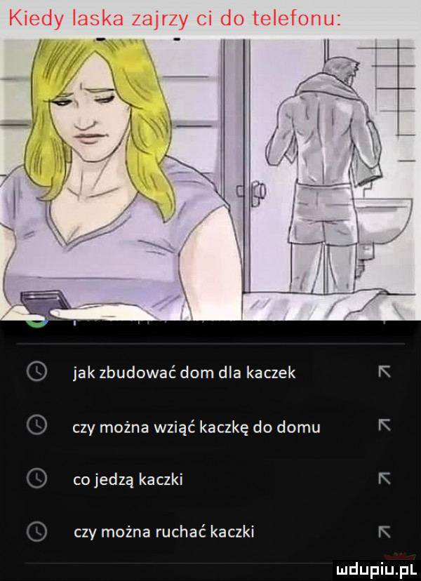 jak zbudować dom dla kaczek czy można wziąć kaczkę do domu co jedzą kaczki czy można ruchać kaczki
