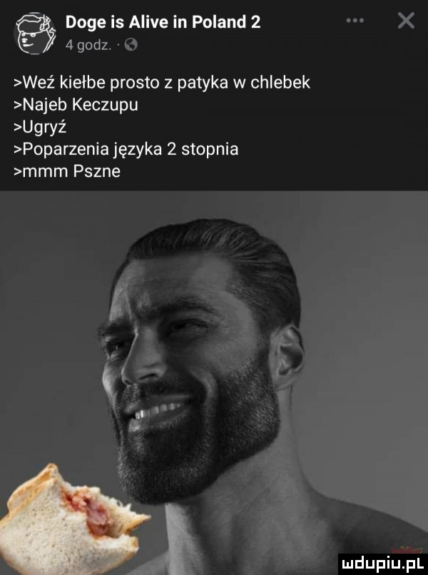 doje is alice in poland     godz weź kiełże prosto z patyka w chlebek najeb keczupu ugryź poparzenia języka   stopnia mmm pszne