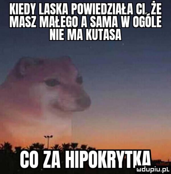 kiedy laska powiedziała gaże masz małego a sama w ugule nie ma kiitasa go za hipokbytisqm