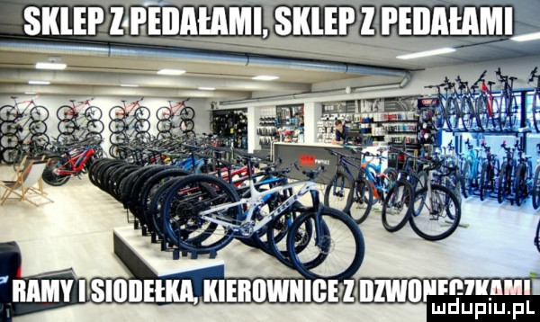 Obrazek