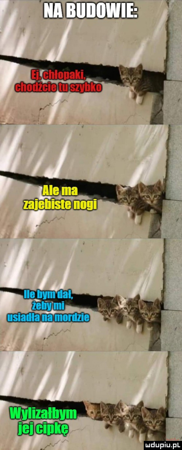 Obrazek