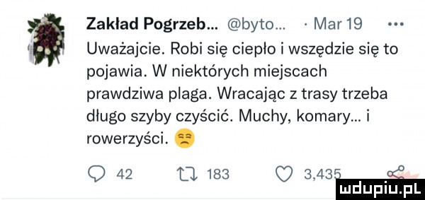 zakładpogrzeb byto. mar   uważajcie. robi się ciepło i wszędzie się to pojawia. w niektórych miejscach prawdziwa plaga. wracając z trasy trzeba długo szyby czyścić. muchy komary. i rowerzyści. abakankami q    m     o