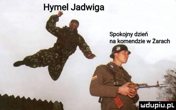 homel jadwiga spokojny dzień na komendzie w zarach