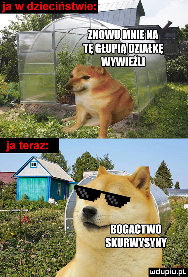 Obrazek
