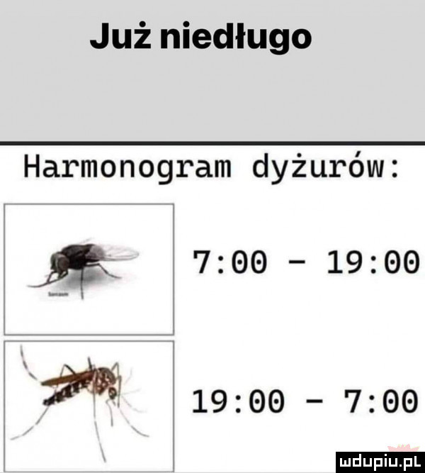 już niedługo harmonogram dyżurów  x            ﬂ            ludu iu. l