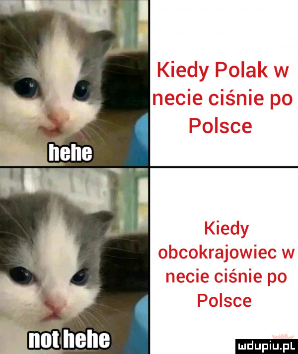 upiu pl