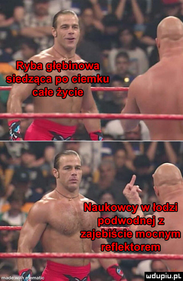 Obrazek