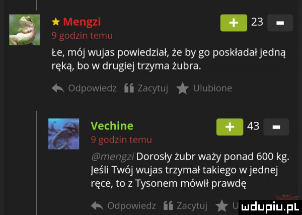 t mengzl      godom temu łe mój wujas powiedział ze by go poskładałjedną ręką bo w drugiej trzyma żubra.  x w ii lnu h hm a vechine.     godom emu dorosły żubr waży ponad     kg. esll tao wujas trzymał takiego wrednej ręce to z tysonem mówił prawdę q ﬂ ii emma umdupiupl