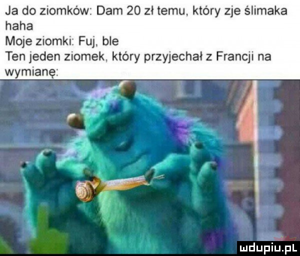 ja do ziomków dam    zł temu który zje ślimaka haba mole zlomkl ful ble ten jeden ziomek. który przyjechał z francji na wymianę mdupinl