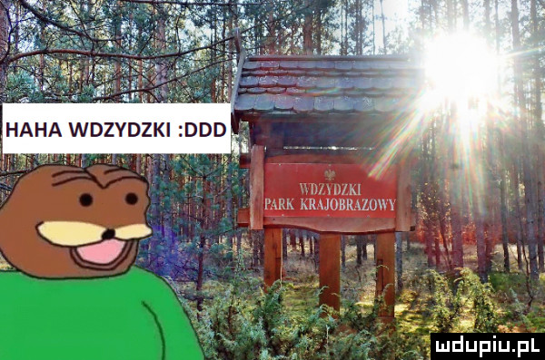 w m t w m muwum