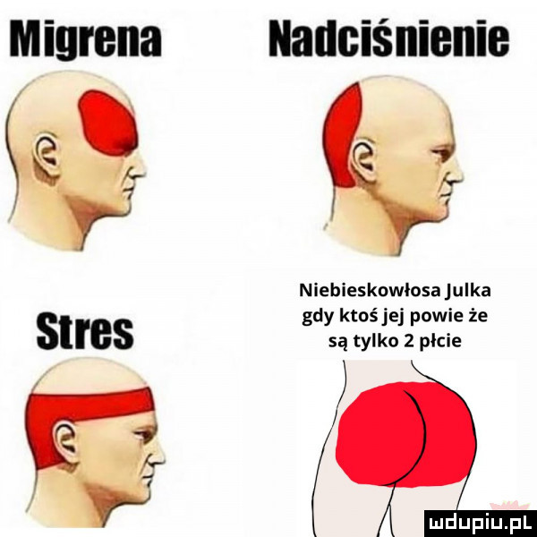 niebieskowlosa julka gdy ktoś je powie że są tylko   pnie