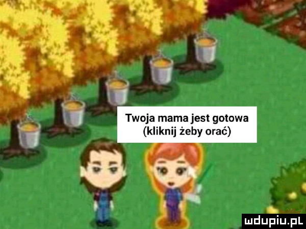 twoja mam est gotowa by orać