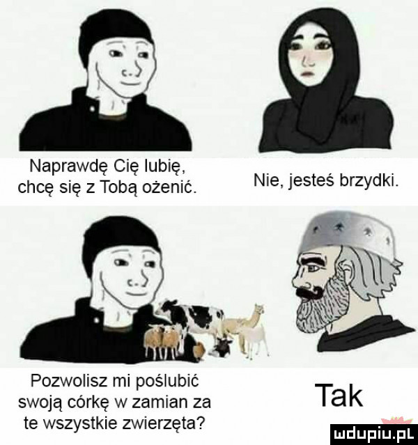 aq. naprawdę cię lubię. chcę się z tobą ożenić. nie jesteś brzydki. pozwolisz mi posiubić swoją córkę w zamian za tak. abakankami   te wszystkie zwierzęta