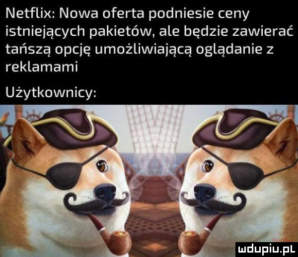 netflix nowa oferta podniesie ceny istniejących pakietów ale będzie zawierać tańszą opcję umożliwiającą oglądanie z reklamami użytkownicy