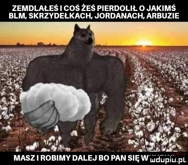 zemdlałeś i coś żeś pierdolił o jakimś blm. skrzydelkach. jordanach arbuzie masz i robimy dalej bo pan siew jaęhmfl