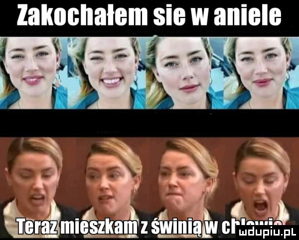 Obrazek