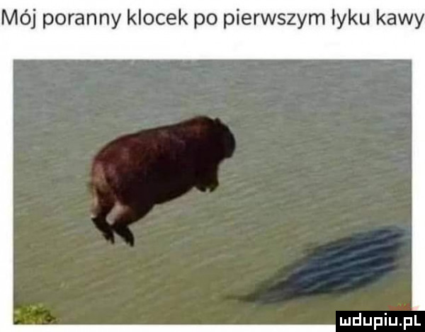 mój poranny klocek po pierwszym łyku kawy