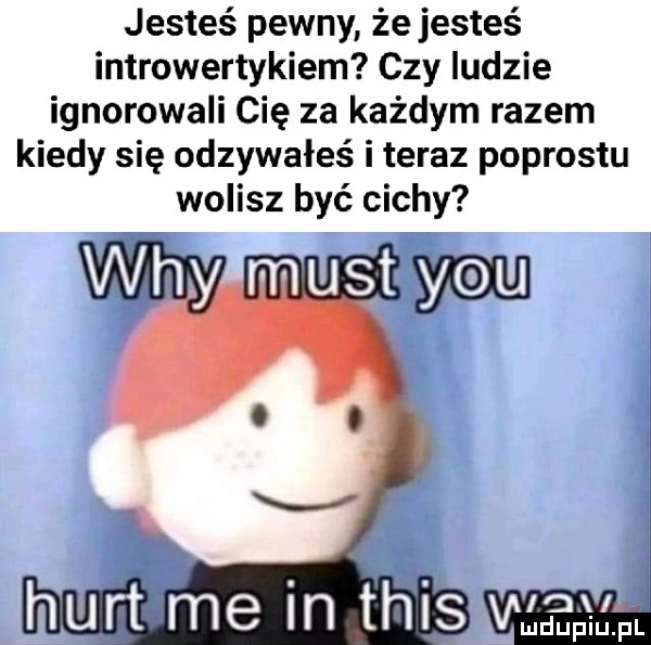 jesteś pewny że jesteś introwertykiem czy ludzie ignorowali cię za każdym razem kiedy się odzywałeś i teraz podrostu wolisz być cichy lex. mduplu pl