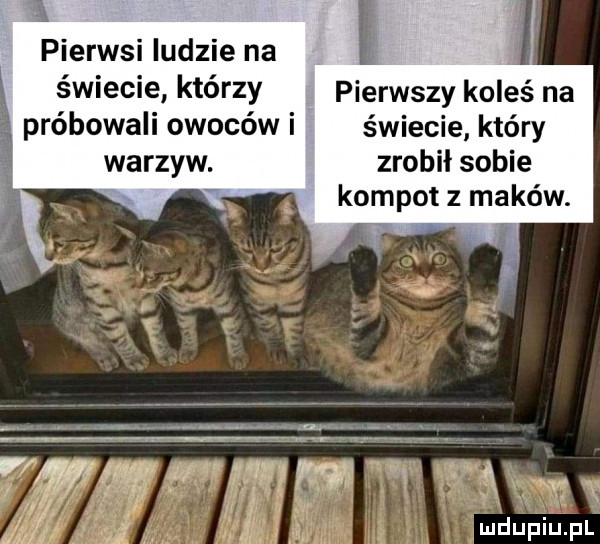 pierwsi ludzie na świecie którzy pierwszy koleś na próbowali owoców i świecie który warzyw. zrobił sobie kompot z maków. w ww innny   w k