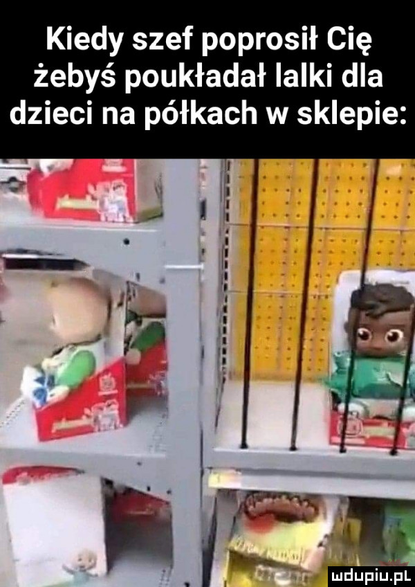 kiedy szef poprosił cię żebyś poukładał lalki dla dzieci na półkach w sklepie ża n     ą i f i. abakankami b. abakankami. mduplu pl