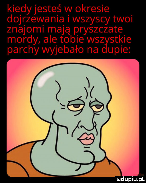 kiedyjesteś w okresie dojrzewania i wszyscy twoi znajomi mają pryszczate mordy ale tobie wsz stkie parchy wyjebało na ucie