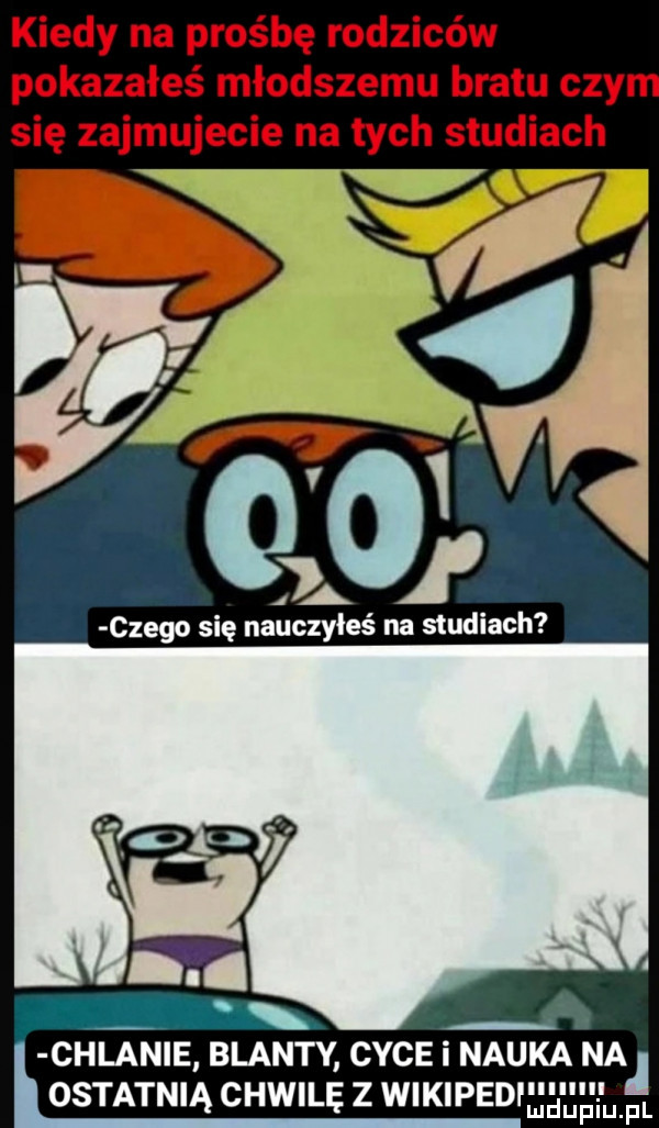 kiedy na prośbę rodziców pokazałeś młodszemu bratu czy się zajmujecie na tych studiach chlanie blanty cyce i nauka nimf ostatnią chwilę z wikipedfęq