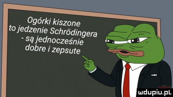 ogórki kiszone to jedzenie schrc idingera ly są jednocześnie dobre i zepsute q. i duciu pl