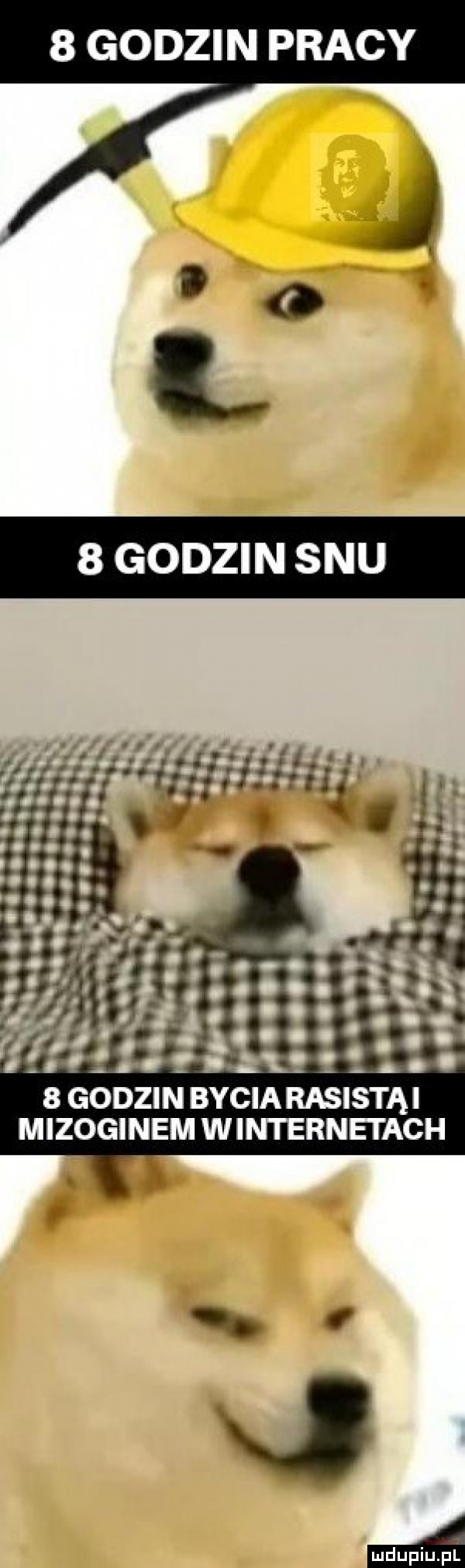 godzin pracy j    l   godzin snu   godzin bycia rasistki mizoginem winternei ach