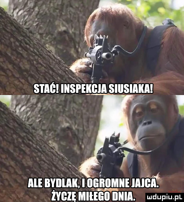 smeuuśrighm slusmjlgnf i i. l alebyillak i uhnmuunlći mil maini iiiiia