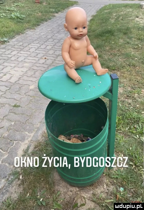 Obrazek