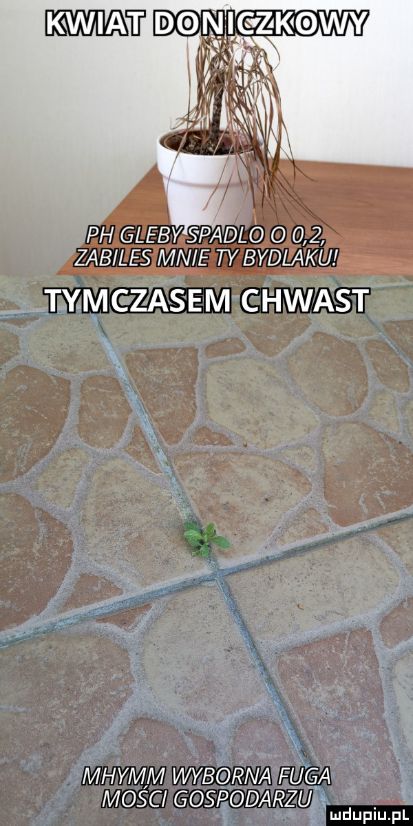 h glebks padlo o   ząbllesngn uy bydęą wdy mazia se m c hwast mhymm wybebrna fuga mocc gosęodarzuś  . x nn u u l