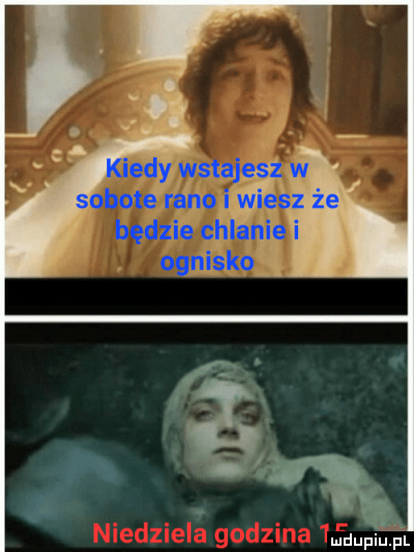 indy wstajesz. bite rano i s  . będzie chlanie ognisko mdupqul